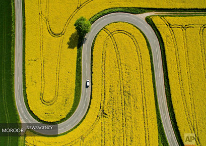 عکسهای برتر ماه دسامبر از نگاه خبرگزاری آسوشیتد پرس