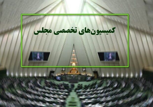 دستور کار جلسات کمیسیون‌های مجلس در هفته جاری اعلام شد
