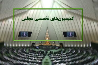 اعلام دستور کار کمیسیون ‌های تخصصی مجلس در هفته آینده 