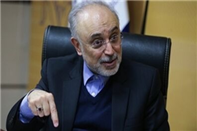 در فصل انتخابات صحبتی در مورد برجام ندارم