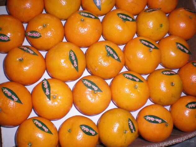 آغاز واردات غیر قانونی نارنگی پاکستانی / احتمال افزایش قیمت پرتقال برای شب عید وجود دارد
