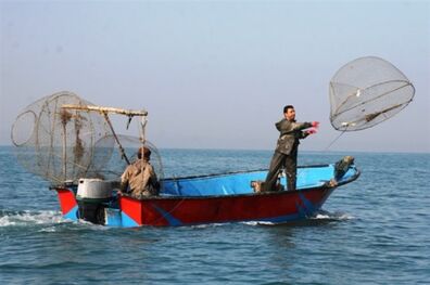 رونمایی از مستند جنجالی دریابست