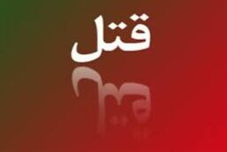 قتل خواهر زن سابق در یک اقدام جنون آمیز / قاتل دستگیر شد