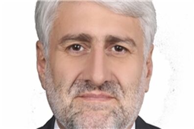 طرح تفکیک چند وزارتخانه در حد پیشنهاد است/ هنوز تعداد وزارتخانه‌ها مشخص نشده است