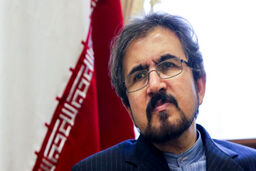قاسمی درگذشت 2 تن از عکاسان کشور را تسلیت گفت
