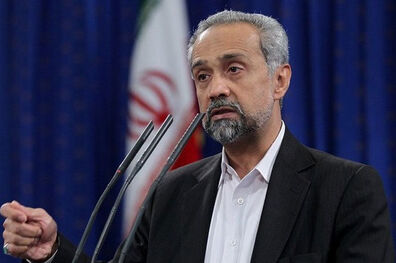 نهاوندیان با رئیس جمهور سوئیس دیدار کرد