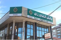 تجلیل مدیرعامل بانک کشاورزی از مولف کتاب نفیس خلیج فارس