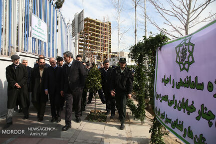 ساماندهی و احیا درختان خیابان ولیعصر (عج)