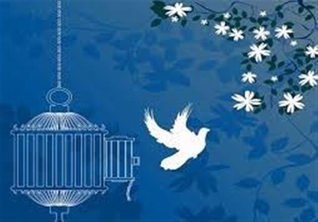 17 زندانی غیر عمد در استان مرکزی آزاد شدند