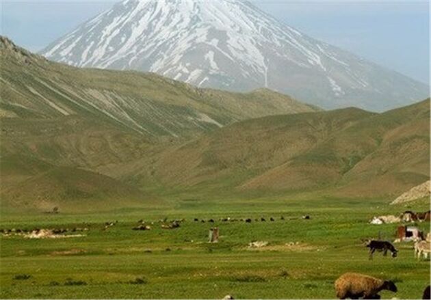 10 هزار خانوار بهره‌بردار کرمانشاهی عضو صندوق توسعه منابع طبیعی شدند
