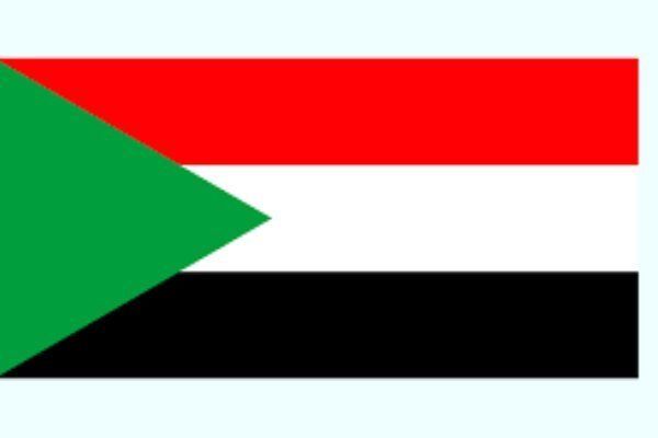بازداشت گروهی از خبرنگاران در سودان