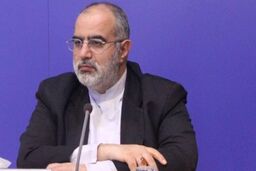 حسام الدین آشنا در پرونده سیاسی مجرم شناخته شد