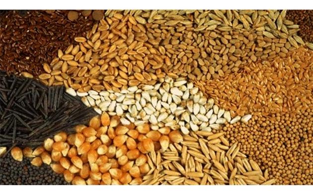 تاخیر در تامین ارز مورد نیاز نهاده های دامی منجر به بیکاری خواهد شد