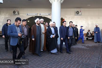 احیای درختان خیابان ولیعصر (عج)