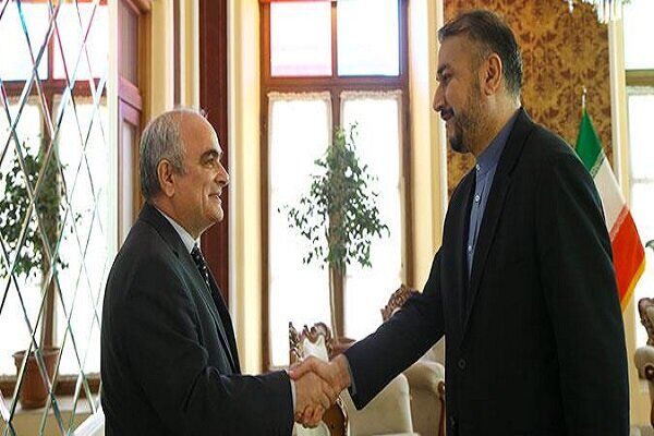  سفیر روسیه در تهران با امیرعبداللهیان دیدار کرد