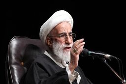 مایه تأسف است که رئیس جمهور نادان فرانسه از توهین به پیامبر رحمت حمایت کند