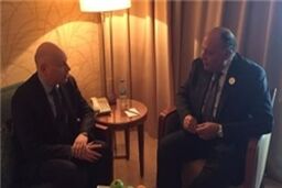 بررسی روند سازش در دیدار وزیر خارجه مصر با نماینده ترامپ
