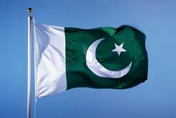 چودری: تحریک انصاف اگر 10 غلط داشت، نواز صد غلط دارد