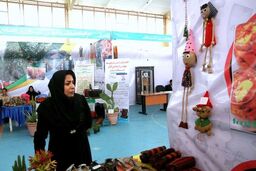 برنامه‌ریزی وزارت کار برای استفاده از ظرفیت اشتغال صنایع
