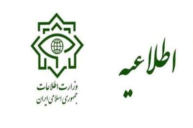 دو باند جعل ویزای دیگر توسط وزارت اطلاعات شناسایی و متلاشی شد