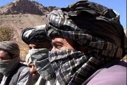 کشته شدن 43 نفر از عناصر طالبان در ولایت هلمند