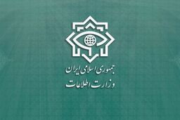  ۴۲ عضو شبکه پشتیبان حمله تروریستی شاهچراغ دستگیر شدند