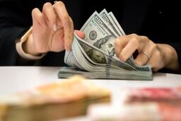 قیمت ارز در بازار آزاد امروز 12 شهریور 1402 مشخص شد +جدول