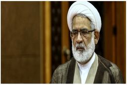 مدعیان حقوق بشر در حمایت از حقوق بشر کاری نکرده‌اند