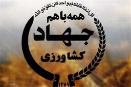 خرید توافقی ۴۰۰ تن پیله تر ابریشم