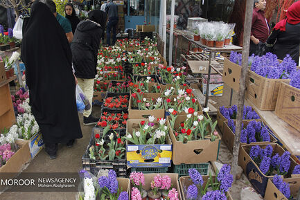 بازار گل شهید محلاتی