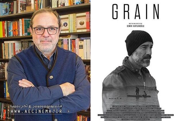 اکران فیلم سینمایی گندم در هنر و تجربه