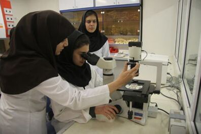 توقف طرح های کلان به دلیل عدم رضایت بهره برداران است