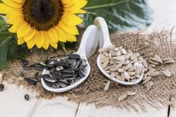 سهم 45 درصدی ذرت از واردات کالاهای اساسی