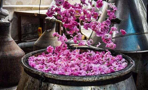 بیش از ۳۱ هزار گردشگر از باغ فین کاشان بازدید کردند