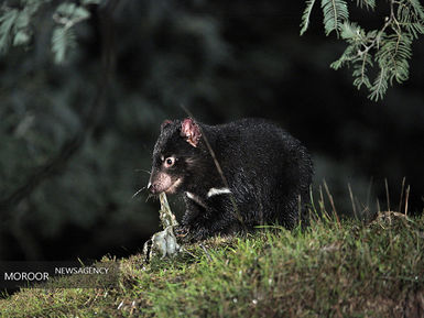 عکسهای برگزیده ماه دسامبر نشنال جئوگرافیک