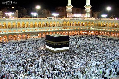 ثبت‌نام حج تمتع سال ۱۴۰۳ آغاز شد