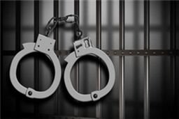 اعتماد نابجا، دانشجوی دکتری هوش مصنوعی را به زندان راهی کرد/ دختر جوان در انتظار کمک خیرین