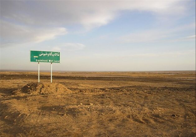 تدوین برنامه جامع تالاب گاوخونی تا پایان سال 95