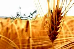 اعلام میزان فطریه و کفاره روزه از سوی آیت الله مکارم