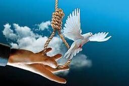 رهایی ۵۵۵ نفر از قصاص با صلح و سازش