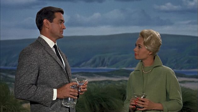 دانلود زیرنویس فیلم The Birds 1963
