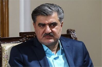 بحث اصلاح ساختار دولت در مجلس باید بررسی شود
