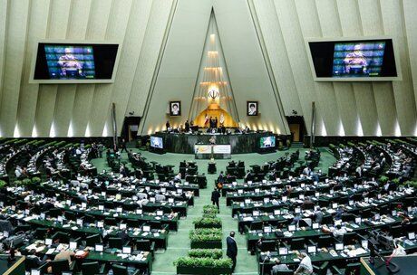 تذکر کتبی نماینده مجلس به وزیر ورزش: انتخابات فدراسیون‌ها مهندسی می‌شود