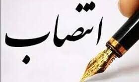 تغییر دبیر شورای عالی مناطق آزاد/ سعید محمد رفت، ابراهیمی منصوب شد