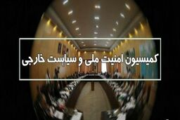 امنیت شاهچراغ در کمیسیون امنیت ملی بررسی شد