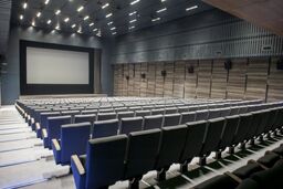 تعطیلی سینماها در ایام قدر