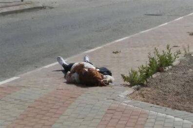 یک دختر فلسطینی به ضرب گلوله صهیونیست ها کشته شد