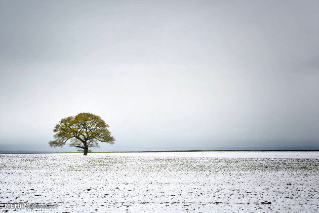 ارتفاع برف در اردبیل به 6 سانتیمتر رسید/روزهای آفتابی در راه است