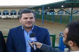 عسل ایرانی نیازمند برندسازی است