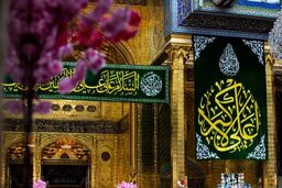  جشن و سرور در شب میلاد حضرت علی اکبر (ع) +عکس
